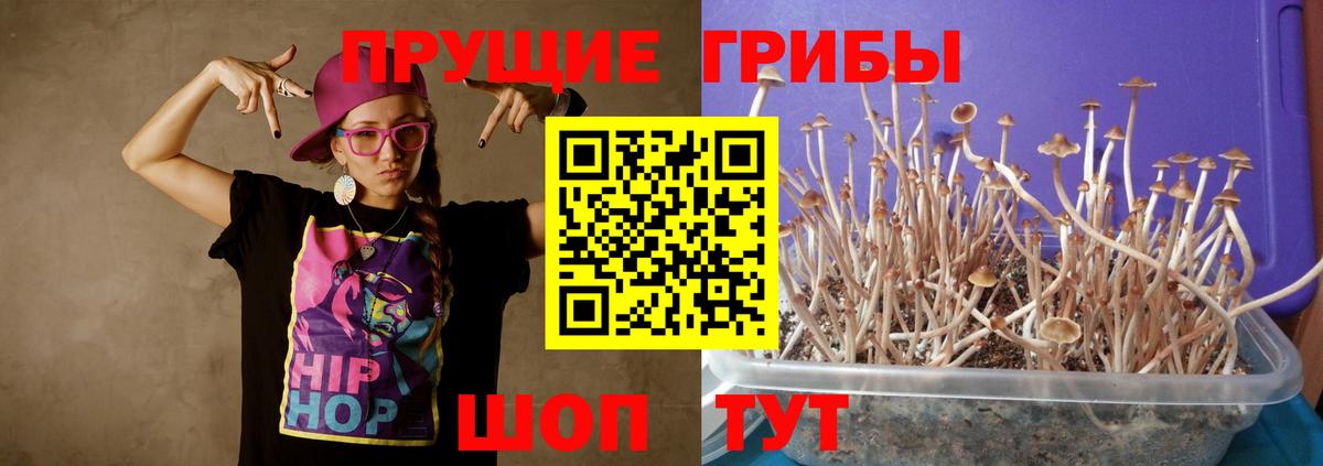 Кызыл  Галлюциногенные грибы MAGIC MUSHROOMS  Галлюциногенные грибы MAGIC MUSHROOMS  Вход с VPN 